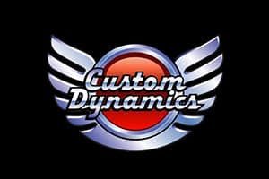 custom_dynamics